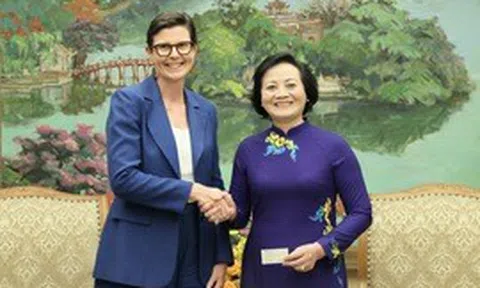 Việt Nam - WHO: Ưu tiên hợp tác cải cách y tế, phòng chống tác hại thuốc lá và ô nhiễm không khí