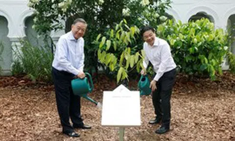 Tổng Bí thư, Chủ tịch nước Tô Lâm trồng cây tại Vườn Bách thảo Singapore