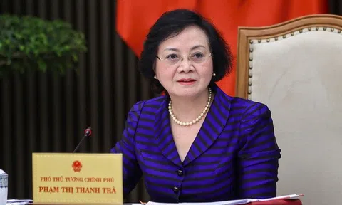 Phó Thủ tướng Phạm Thị Thanh Trà làm Trưởng BCĐ quốc gia về phát triển ngành dược Việt Nam