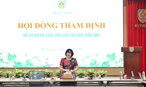 Tiếp tục nghiên cứu siết chế tài với hành vi "bỏ cọc" khi đấu giá