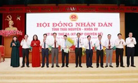 Phê chuẩn Phó Chủ tịch UBND tỉnh Thái Nguyên