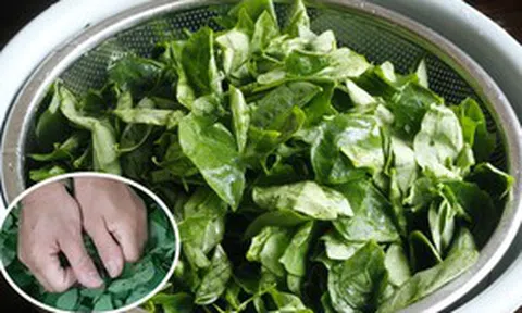 Ăn nắm rau này "bổ ngang thịt bò", ở quê mọc um tùm nhiều người không biết mà ăn