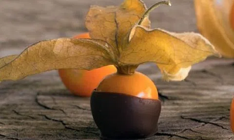 Loại quả dại ở Việt Nam “lên đời” thành đặc sản ở trời Tây, giá cao bất ngờ