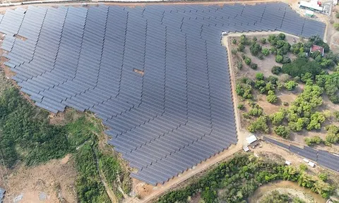 Trinasolar cung cấp mô-đun cho dự án điện mặt trời Bugallon công suất 25 MWp của PetroGreen tại Philippines