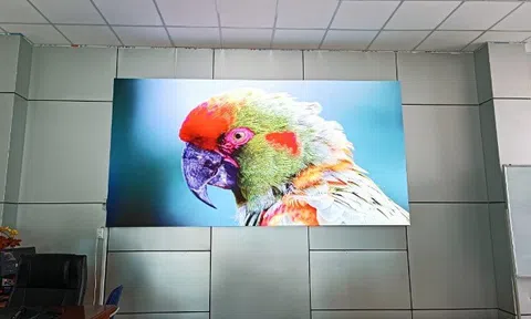 Thuê màn hình Led trọn gói - Giải pháp tối ưu hóa chi phí của doanh nghiệp