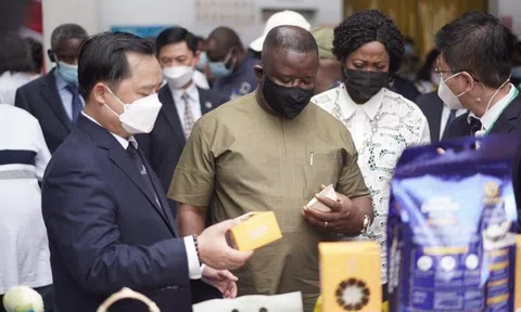 ANGIMEX KÝ HỢP ĐỒNG XUẤT KHẨU GẠO TRỊ GIÁ TỶ ĐÔ VỚI NƯỚC CH SIERRA LEONE